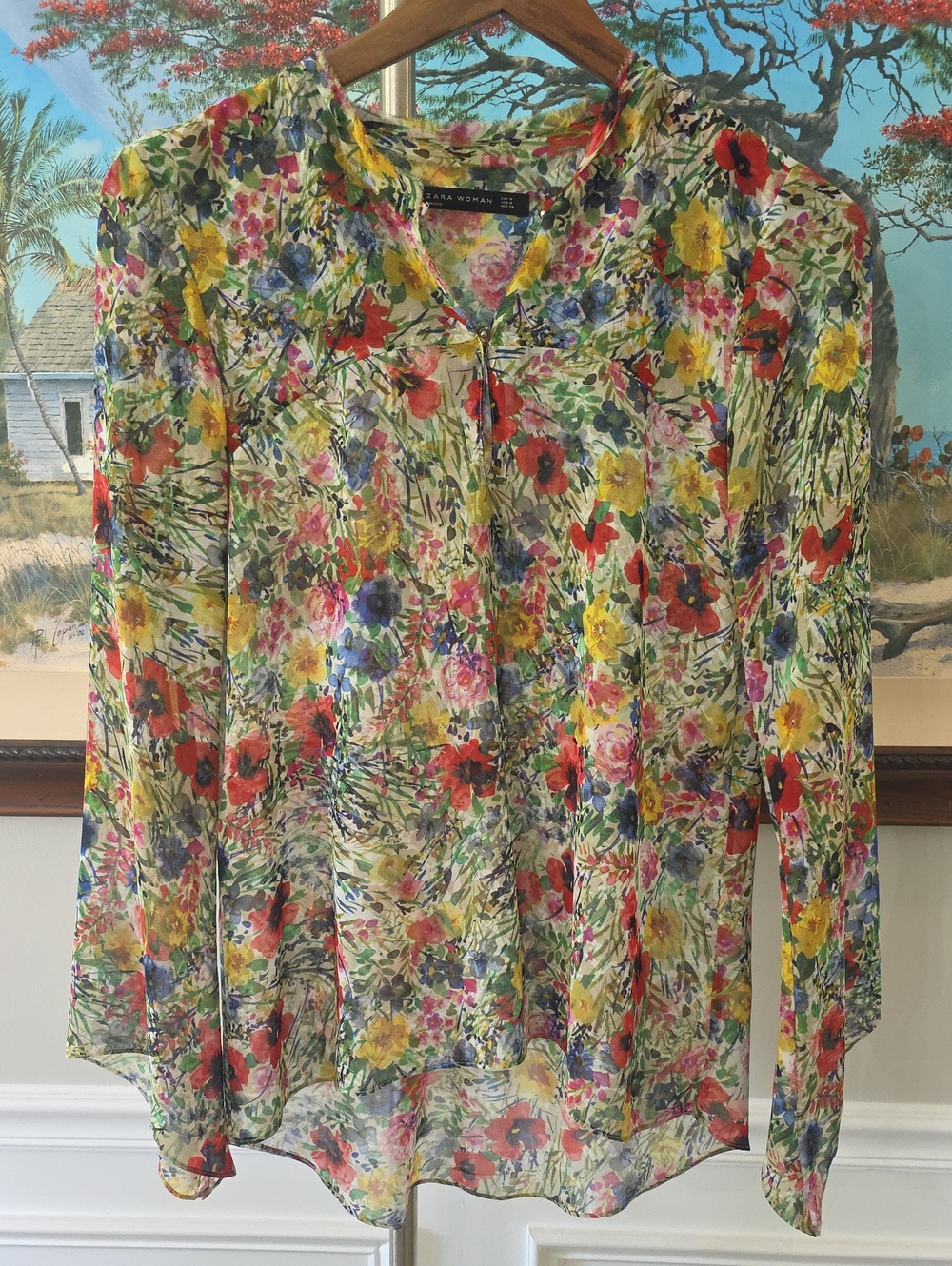 Zara Floral Sheer V-Neck Blouse in Multi-Color